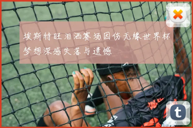 埃斯特旺泪洒赛场因伤无缘世界杯梦想深感失落与遗憾